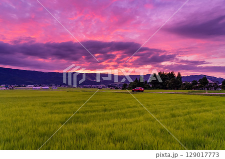 《新潟県》夏の田園風景の夕暮れ・魚沼の大地 《新潟県》夏の田園風景の夕暮れ・魚沼の大地 129017773