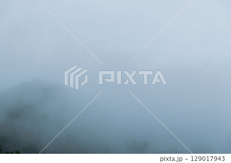 梅雨の季節　朝霧に覆われた山の木々06 129017943