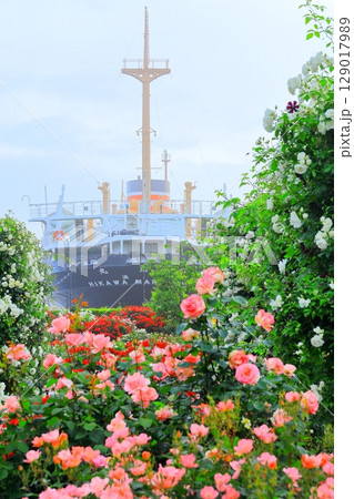 山下公園のバラ園と氷川丸 129017989