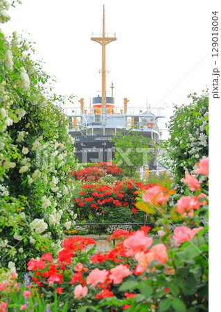 山下公園のバラ園と氷川丸 129018004