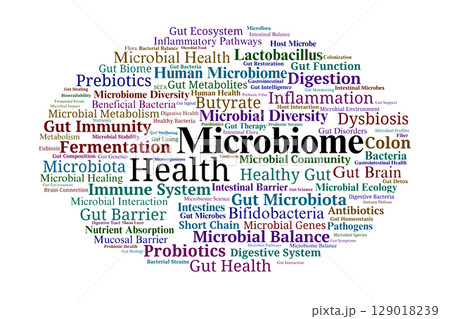 Microbiome Health Word Cloud. Key Gut Microbiota and Bacterial Diversity in Human Wellness Microbiome Health Word Cloud. Key Gut Microbiota and Bacterial Diversity in Human Wellness 129018239