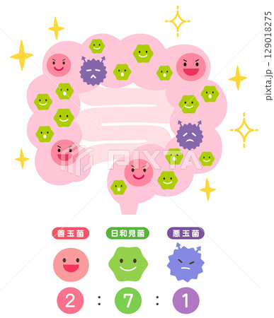 腸内環境 善玉菌 悪玉菌 日和見菌 元気な腸内 腸内環境 善玉菌 悪玉菌 日和見菌 元気な腸内 129018275