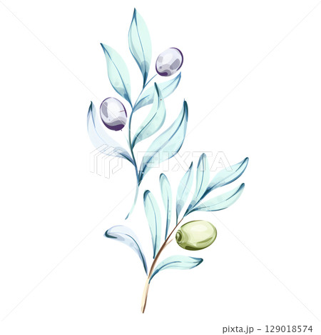 Bright and delicate watercolor olives and olive oil illustrations capturing the essence of nature and Italian cuisine Bright and delicate watercolor olives and olive oil illustrations capturing the essence of nature and Italian cuisine 129018574