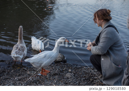 Pretty woman with goose in park Pretty woman with goose in park 129018580