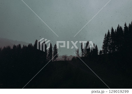 A tranquil scene of a forested mountainside under a clouded sky. The silhouettes of the trees create a serene atmosphere, perfect for natural setting 129019299