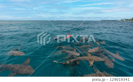 Vibrant aerial view of a snorkeler gracefully observing colorful fish just below the water's surface, surrounded by a lively school of marine life Vibrant aerial view of a snorkeler gracefully observing colorful fish just below the water's surface, surrounded by a lively school of marine life 129019341