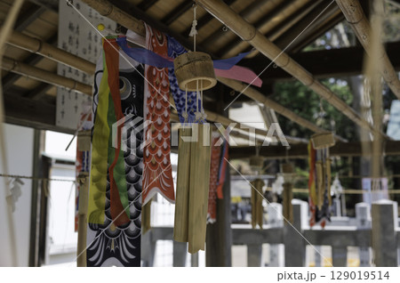 神社の拝殿に飾られた鯉のぼり 神社の拝殿に飾られた鯉のぼり 129019514