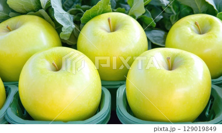 Fresh produce at an organic farmers market stall featuring golden-green apples and crisp leafy vegetables 129019849