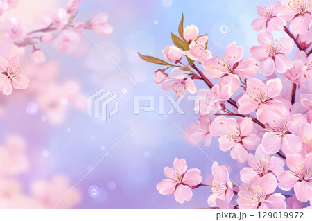 Blooming cherry blossoms create a serene atmosphere under a pastel sky during early spring evening hours Blooming cherry blossoms create a serene atmosphere under a pastel sky during early spring evening hours 129019972