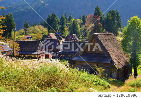 世界遺産　五箇山合掌造り集落　秋景色	 129019996