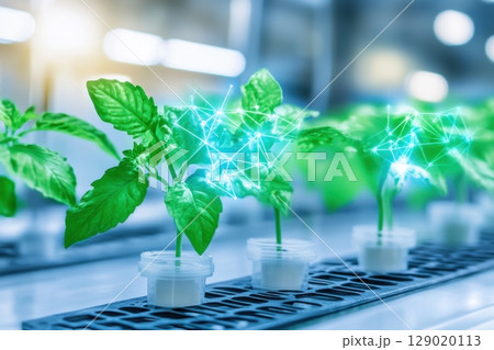 Futuristic pharmaceutical lab utilizing plants and glowing pathways for natural drug synthesis and extraction processes 129020113