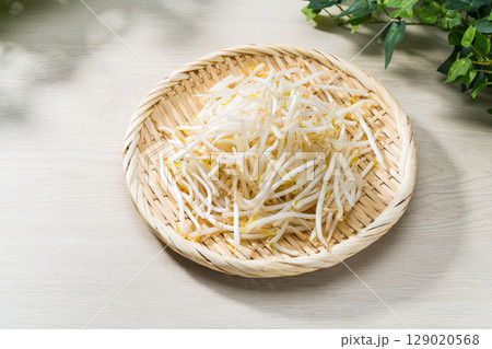 ザルに盛られた新鮮なもやし ザルに盛られた新鮮なもやし 129020568