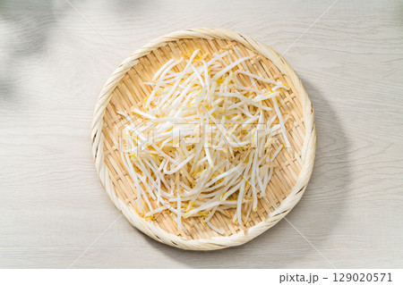 ザルに盛られた新鮮なもやし ザルに盛られた新鮮なもやし 129020571