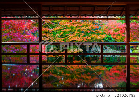 紅葉が映る旧竹林院 129020785