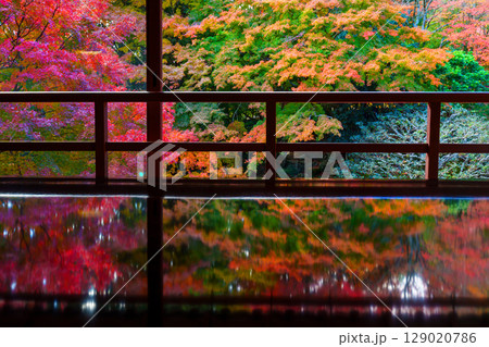 紅葉が映る旧竹林院 129020786