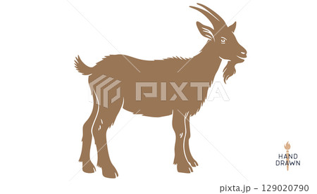 Goat. Vintage retro print, black white goat drawing, sketch ink pencil draw, engrave old school style. Sketch artwork silhouette goat with horns. Side view profile goat. Vector Illustration 129020790