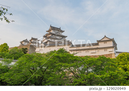 世界遺産・姫路城の美しい城郭と日本の伝統建築 129020949