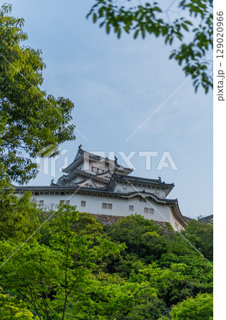 世界遺産・姫路城の美しい城郭と日本の伝統建築 129020966