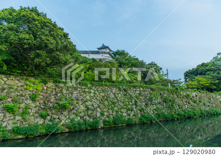 世界遺産・姫路城の美しい城郭と日本の伝統建築 世界遺産・姫路城の美しい城郭と日本の伝統建築 129020980