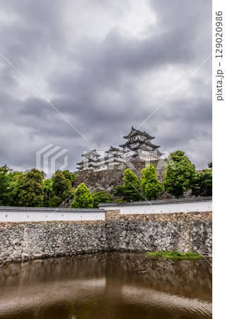 世界遺産・姫路城の美しい城郭と日本の伝統建築 世界遺産・姫路城の美しい城郭と日本の伝統建築 129020986