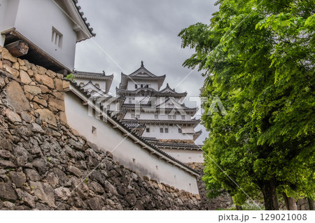 世界遺産・姫路城の美しい城郭と日本の伝統建築 世界遺産・姫路城の美しい城郭と日本の伝統建築 129021008