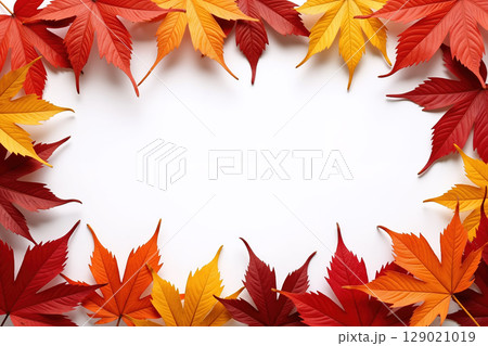 Colorful maple leaves on white background forming a frame. 129021019