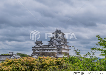 世界遺産・姫路城の美しい城郭と日本の伝統建築 世界遺産・姫路城の美しい城郭と日本の伝統建築 129021127