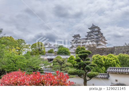 世界遺産・姫路城の美しい城郭と日本の伝統建築 世界遺産・姫路城の美しい城郭と日本の伝統建築 129021145