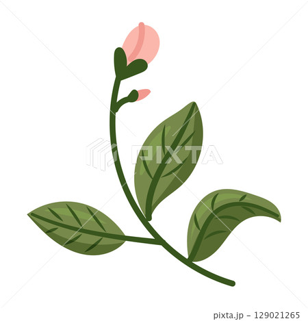 A Delicate and Beautiful Floral Bud Surrounded by Vibrant Green Leaves Enhancing the Design 129021265