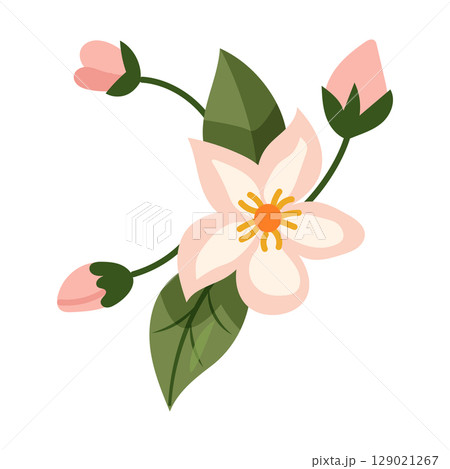 A Beautiful and Delicate Floral Arrangement Featuring Buds and Leaves for Various Occasions A Beautiful and Delicate Floral Arrangement Featuring Buds and Leaves for Various Occasions 129021267