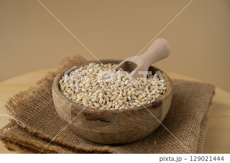 Pearl barley in neutral beige background. Whole spelt grain species. High protein fiber-rich vegan plant based food ingredient. Gluten free superfood healthy nutritional dietary alternative 129021444