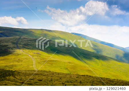 path for mountain tourism in summer. alpine landscape of ukraine. beautiful scenery of borzhava ridge with green hills under blue sky with clouds 129021460
