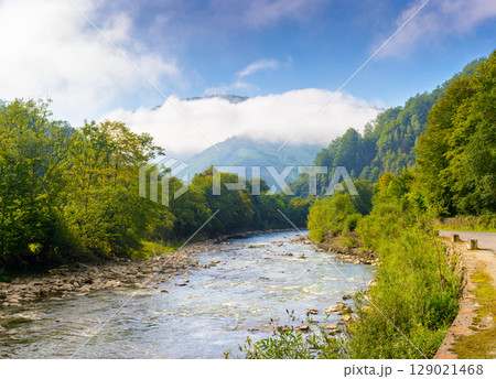 river runs through forest in mountain landscape. travel ukraine in summer. beautiful view with cloud on a hill under blue sky. scenery of tisza river valley 129021468