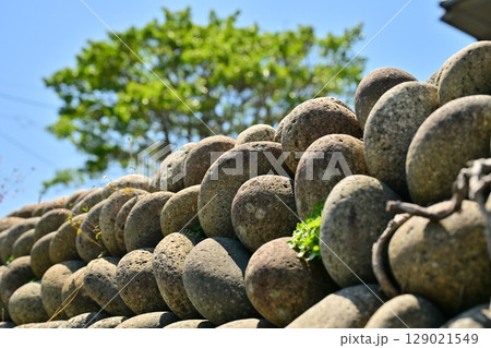 五島　福江　武家屋敷通り 129021549