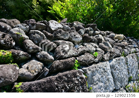 五島 福江 武家屋敷通り 五島 福江 武家屋敷通り 129021556