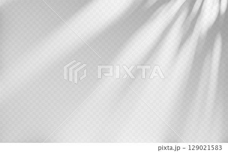 Abstract shadow overlay from tree branch on a transparent background. 129021583