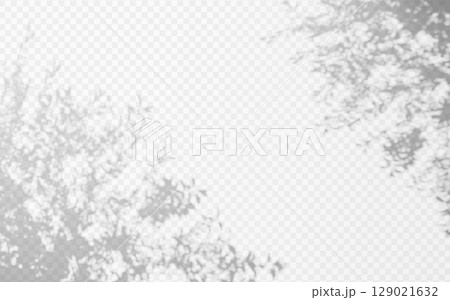 Abstract shadow overlay from tree branch on a transparent background. 129021632