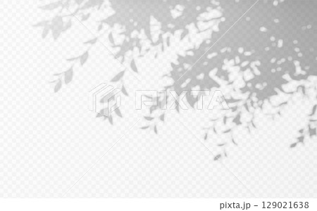 Abstract shadow overlay from foliage tree branch on a transparent background. 129021638
