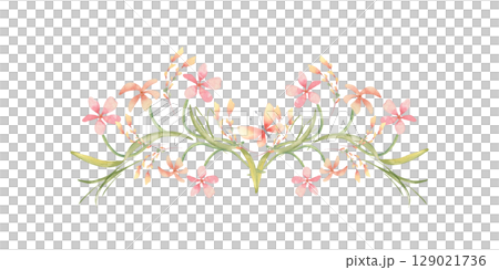 Spring floral horizontal watercolor element with pastel pink wildflowers and green stems isolated on white. Phlox or oxalis flowers in cottagecore style hand painted for seasonal design, wedding 129021736