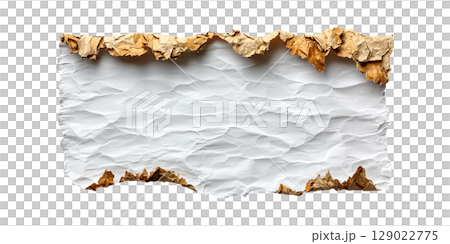 Crumpled Paper With Torn Edges. Texture And Design Element Isolated On Transparent Background Crumpled Paper With Torn Edges. Texture And Design Element Isolated On Transparent Background 129022775