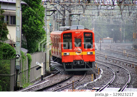 さよならベテラン通勤車… 『大師線』を快走する【8000系】 129023217