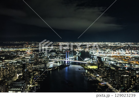 Melbourne Skyline at Night in Australia 129023239