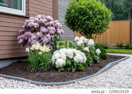 Beautiful Flowering Shrubs and Plants in Modern Landscape Design with Decorative Stones 129023329