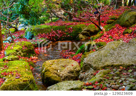 紅葉のある風景 129023609