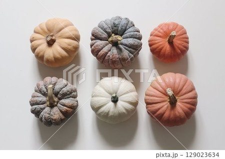 Top view of six assorted pumpkins in various colors. Orange, white, blue-gray squash isolated on white table background. Autumn seasonal decoration, web banner. Thanksgiving Halloween concept flat lay Top view of six assorted pumpkins in various colors. Orange, white, blue-gray squash isolated on white table background. Autumn seasonal decoration, web banner. Thanksgiving Halloween concept flat lay 129023634