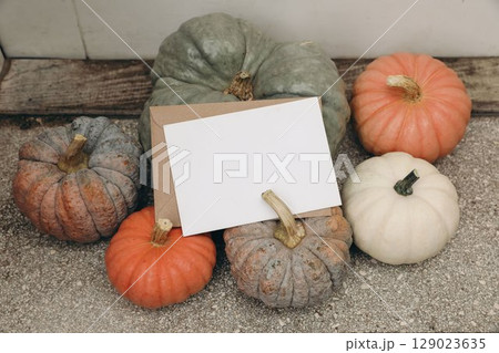 Autumn themed still life with variety of colorful pumpkins, gourds arranged around blank white greeting card mockup and envelope on doorstep background. Seasonal message, invitation. Top view Autumn themed still life with variety of colorful pumpkins, gourds arranged around blank white greeting card mockup and envelope on doorstep background. Seasonal message, invitation. Top view 129023635