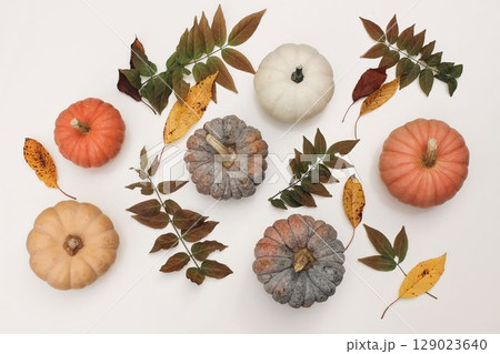Beautiful flat lay autumn composition, still life. Colorful pumpkins, fall leaves isolated on white background. Thanksgiving, Halloween seasonal web banner. Fall promotions, greeting card design. Beautiful flat lay autumn composition, still life. Colorful pumpkins, fall leaves isolated on white background. Thanksgiving, Halloween seasonal web banner. Fall promotions, greeting card design. 129023640