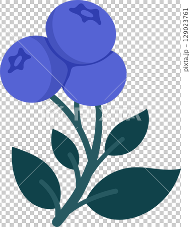 Hand Drawn Blueberry Branch with Ripe Berries and Leaves. Cute Botanical Illustration for Kitchen Decor, Packaging, Stickers, Labels, Logos, Farmers Market or Food Branding 129023761