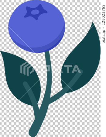 Hand Drawn Blueberry Branch with Ripe Berries and Leaves. Cute Botanical Illustration for Kitchen Decor, Packaging, Stickers, Labels, Logos, Farmers Market or Food Branding 129023765
