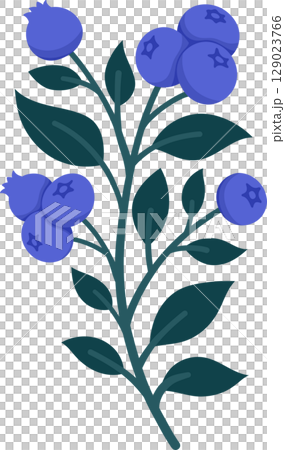 Hand Drawn Blueberry Branch with Ripe Berries and Leaves. Cute Botanical Illustration for Kitchen Decor, Packaging, Stickers, Labels, Logos, Farmers Market or Food Branding Hand Drawn Blueberry Branch with Ripe Berries and Leaves. Cute Botanical Illustration for Kitchen Decor, Packaging, Stickers, Labels, Logos, Farmers Market or Food Branding 129023766